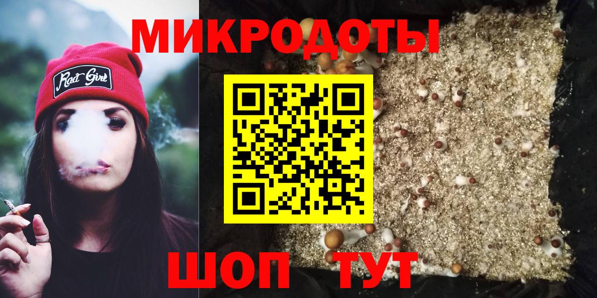 Псилоцибиновые грибы ЛСД  Галлюциногенные грибы мухоморы  Зеленогорск  закладки  Вход с VPN 
